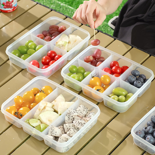 分格水果盒外带便携冰箱保鲜便当盒儿童小学生食品级户外野餐露营