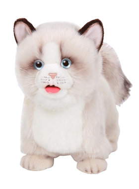科迈特喝奶舔舔猫玩具会舔人