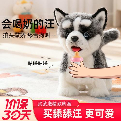 急速发：每日16点前付款，当天发货！