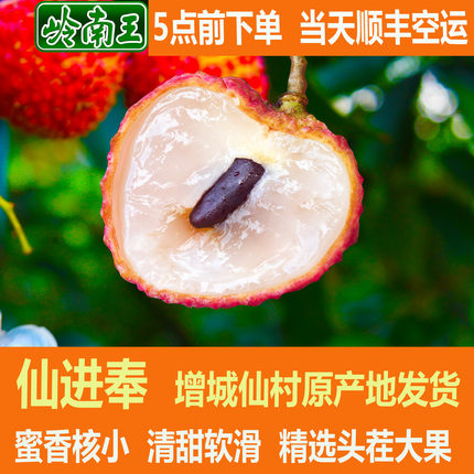 仙进奉荔枝增城广州新鲜现摘岭南深圳空运水果大王礼盒顺丰包邮