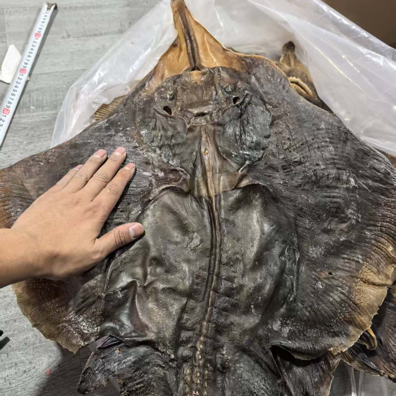 老板鱼干 魔鬼鱼干 皮鱼干 劳鱼干新鲜琵琶鳐鱼干黄夫鱼干超大号,水产肉类/新鲜蔬果/熟食,鱼干,淘宝优惠券,粉丝福利购,淘宝优惠卷