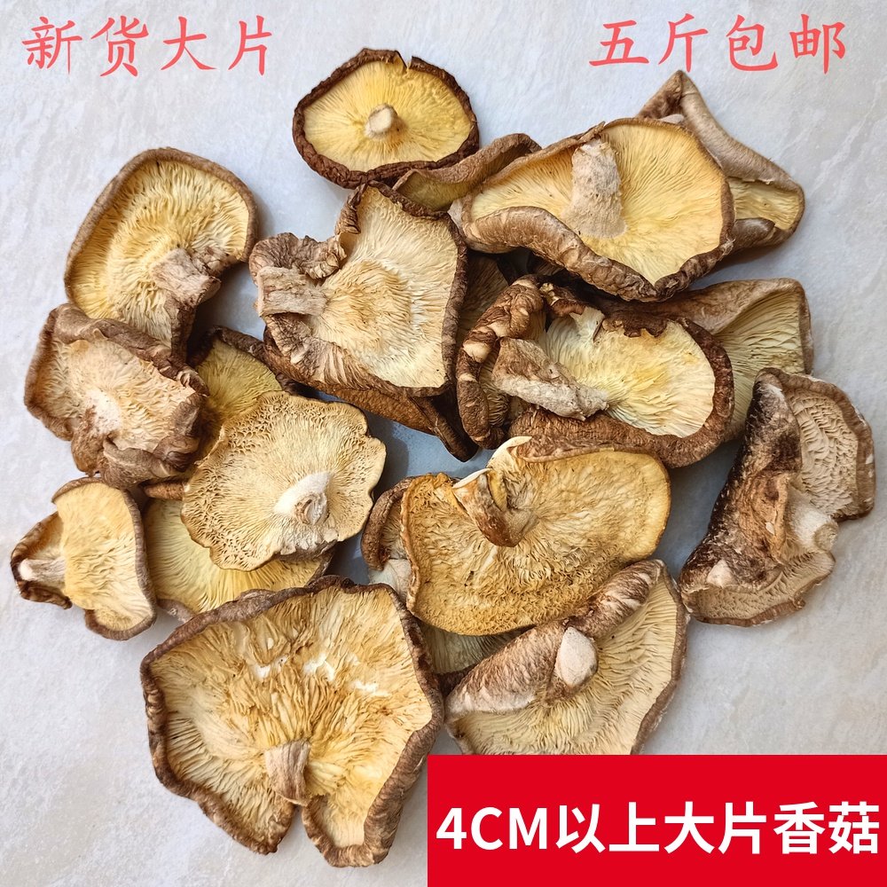 香菇干货 大片干香菇冬菇薄片开伞大香菇 5斤包邮餐饮食堂用