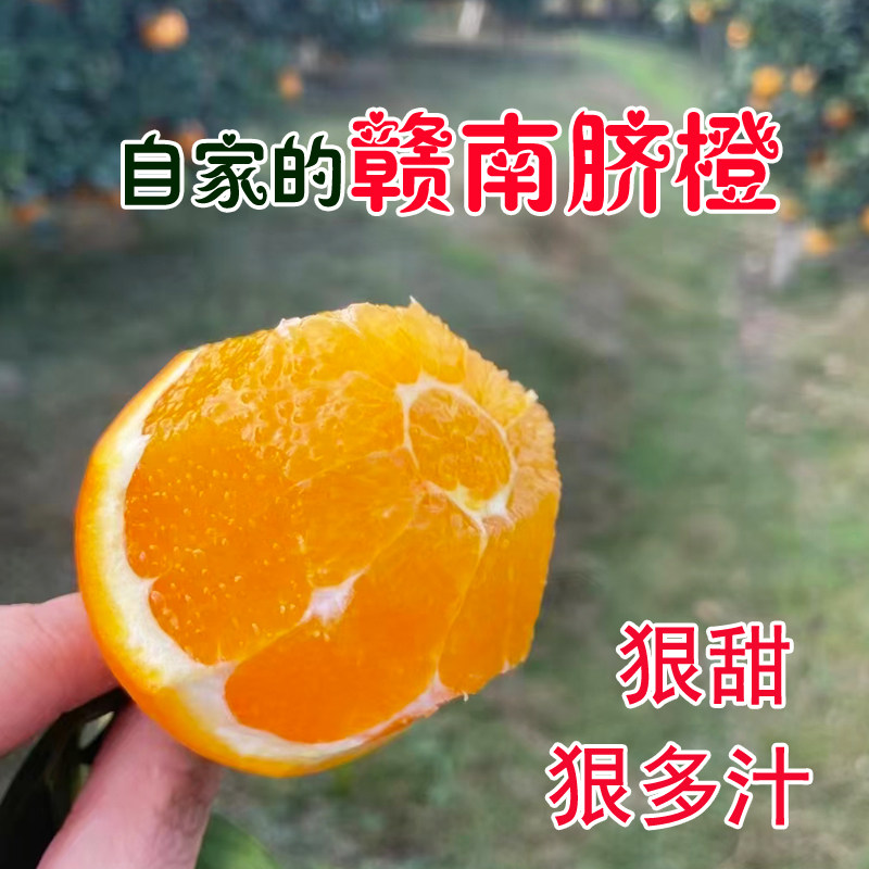 正宗赣南脐橙10斤大橙子当季水果新鲜礼盒橙子江西赣州甜橙手剥橙,水产肉类/新鲜蔬果/熟食,橙,淘宝优惠券,粉丝福利购,淘宝优惠卷