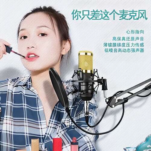 BM800电容麦克风手持直播游戏语音话筒支撑式外接供电
