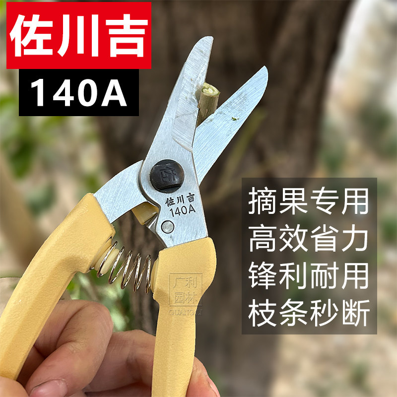 修枝剪果树剪刀花卉剪摘果剪家庭园艺剪刀蔬花蔬果剪佐川吉进口剪