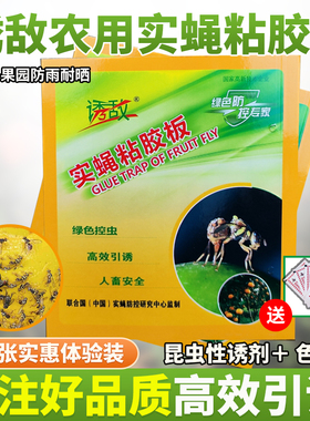 诱敌实蝇粘胶板农用果园实蝇诱粘板果蝇引诱剂桔小实蝇针蜂粘贴性
