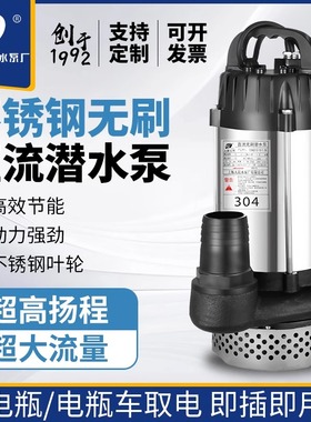 上海人民SRSC无刷电动车农用抽水48V60V72V灌溉小型抽水泵