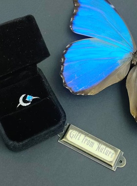 大蓝闪蝶真蝴蝶标本镀银戒指大气月亮精致ins设计生日礼物送女友