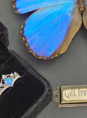 大蓝闪蝶真蝴蝶标本镀银戒指大气精致ins设计生日礼物送女友