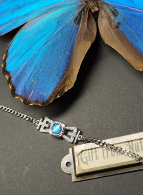 大蓝闪蝶真蝴蝶标本镀银手链灵蛇精致ins设计生日礼物送女友