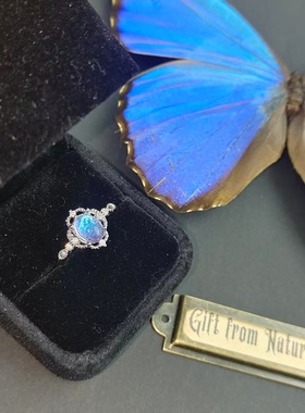 大蓝闪蝶真蝴蝶标本镀银戒指大气花边精致ins设计生日礼物送女友