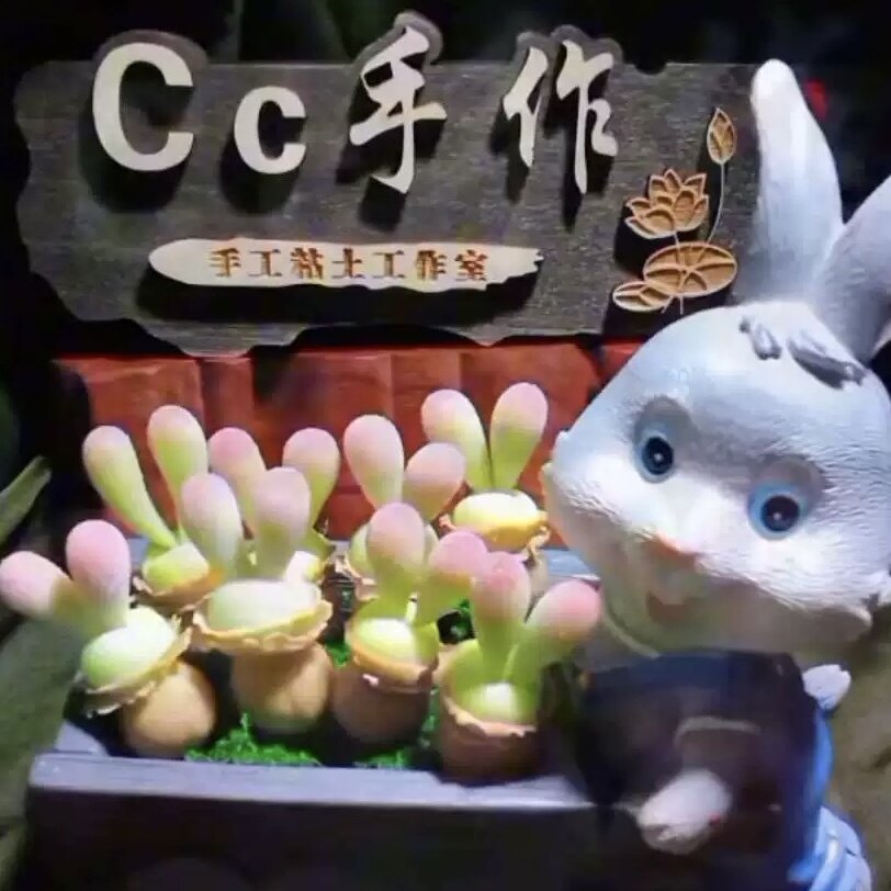 粘土多肉毛汉尼小兔子碧光环生日