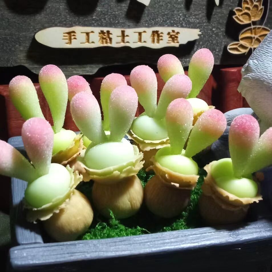 黏土多肉毛汉尼兔子碧光环生日礼