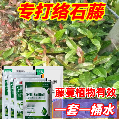 除络石藤专用三氯吡氧乙酸杂灌络石藤水花生爬山虎除草烂根剂农药