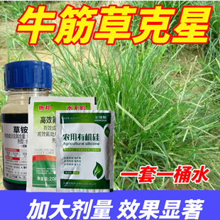 除牛筋草除根药草胺磷专除杀牛筋草除草根剂一扫光除草剂2甲草
