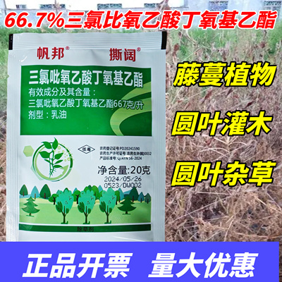 帆邦三氯吡氧乙酸灌木阔叶杂草杂灌除爬山虎烂根灌木强除草烂根剂