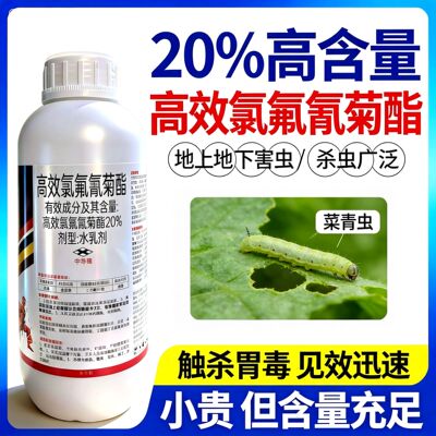 20%高效氯氟氰菊酯菜青虫食心虫果树地下虫地老虎功夫杀虫剂正品