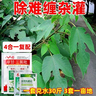 除构专用根药专杀抗性除构木谷皮假杨梅灌木拉拉藤除草根剂药
