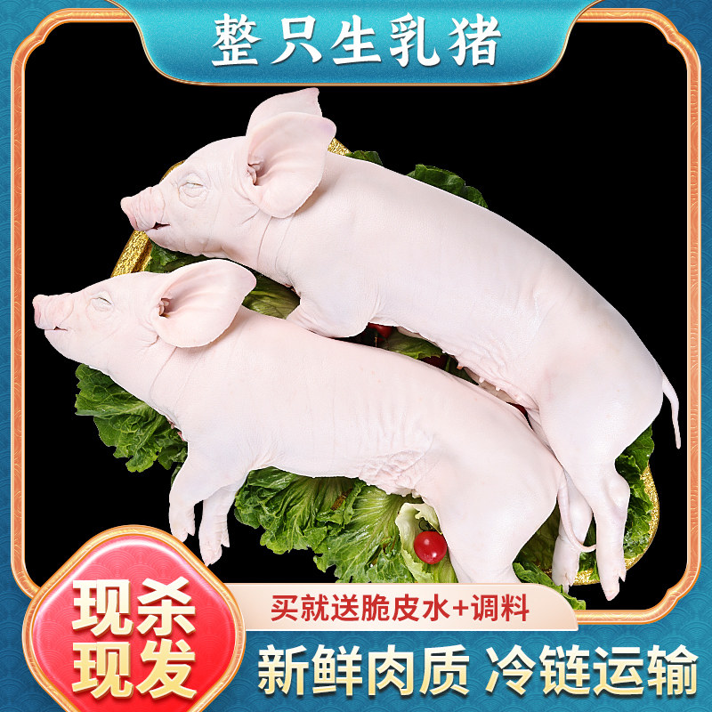 新鲜冻乳猪烧烤酒店生鲜食材