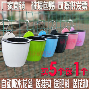 吊兰绿萝花盆 植物墙花盆 吊盆 壁挂花盆 懒人花盆自动吸水花盆
