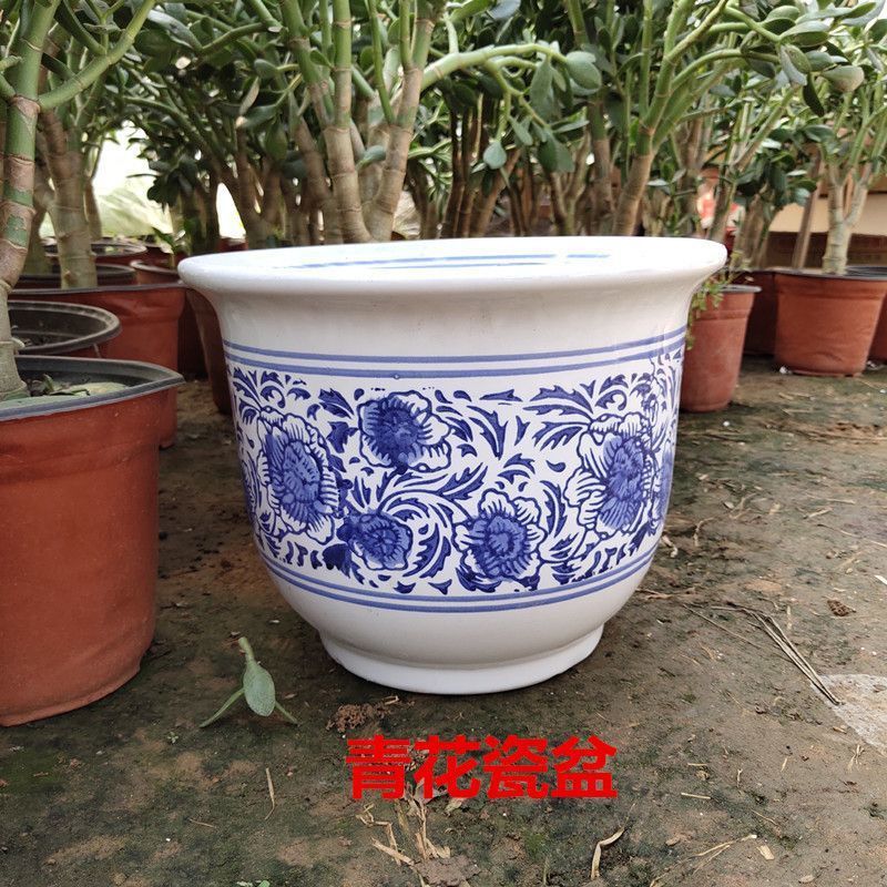 大花盆大量批发陶瓷花盆特大号中式简约古典桌面兰花发财树花盆