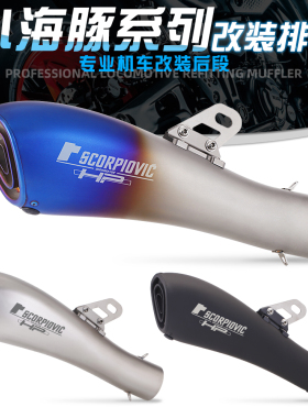 通用排气改装 无极300 GSX250 追/赛600 小海豚系列 直通式尾段排