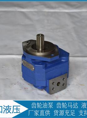 采煤机泊姆克齿轮泵 P124A085AOZA10-54 铸铁耐高压