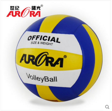 Ballon de volley - Ref 2013216 Image 1