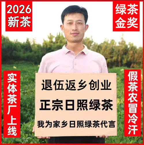 日照绿茶2026新茶叶春茶散装正宗山东板栗香特产特级耐泡500g礼盒