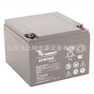 威神铅酸蓄电池6FM38G三瑞12V38Ah直流屏EPS VISION 量大从优