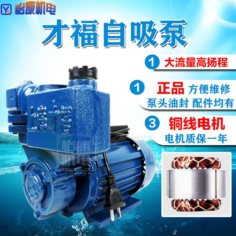 上海自吸泵家用220V抽水泵浇菜井水自来水增压泵1WZB-25-370