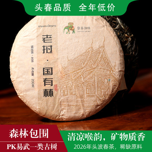 2026年老挝国有林森林古树茶pk易武高杆一类古树茶普洱茶边境茶