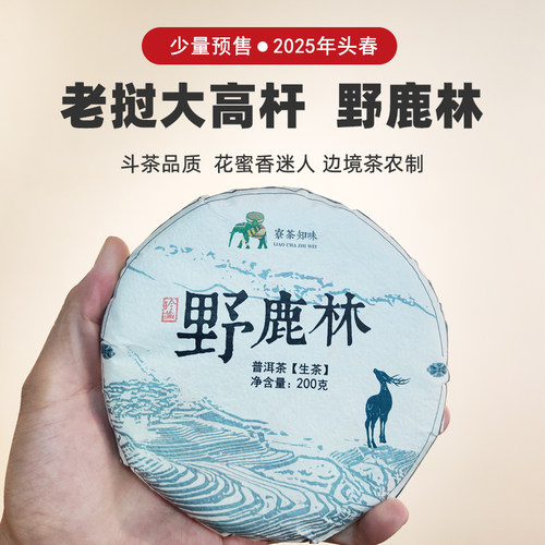 大高杆古树茶易武滋味头春普洱