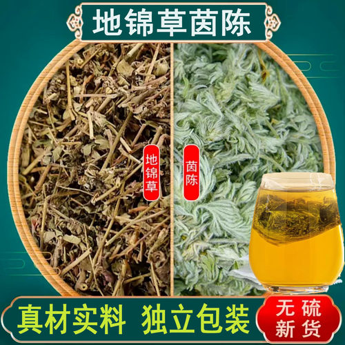 地锦草茵陈组合茶养肝护肝茶中药材官方正品泡水喝的功效与作用