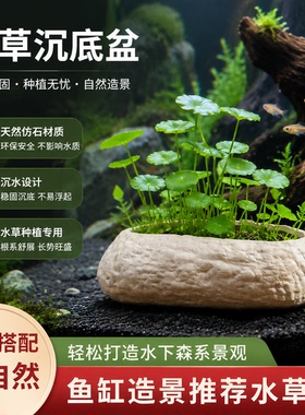 水草沉底盆仿石头无孔铜钱草专用大小陶瓷花家用盆景水仙水培器皿