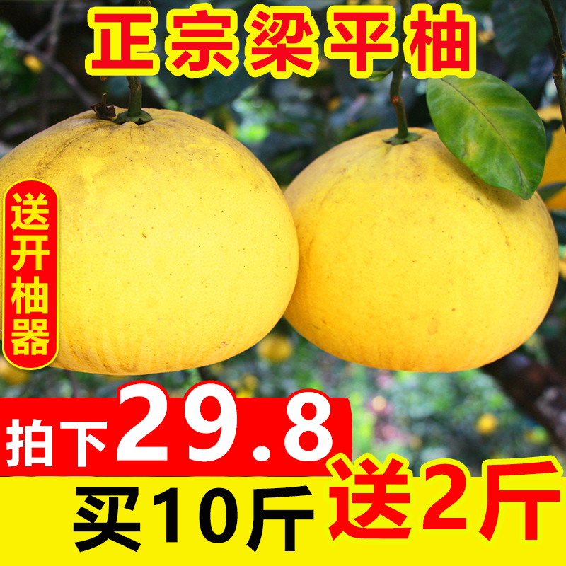 梁平柚子重庆土特产梁山柚麻柚平顶柚孕妇当季新鲜采摘水果10斤装