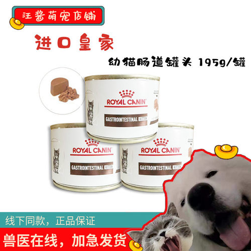 皇家幼猫进口罐头肠道