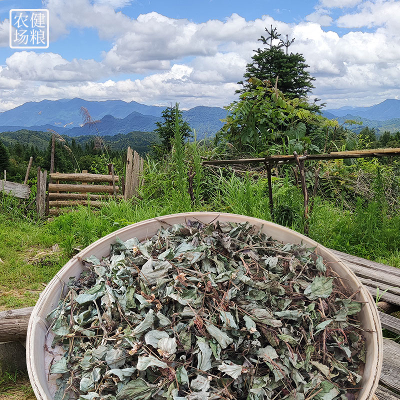 福建野生鱼腥草干三明农家自晒鱼星草泡水 新鲜折耳根养生茶250g