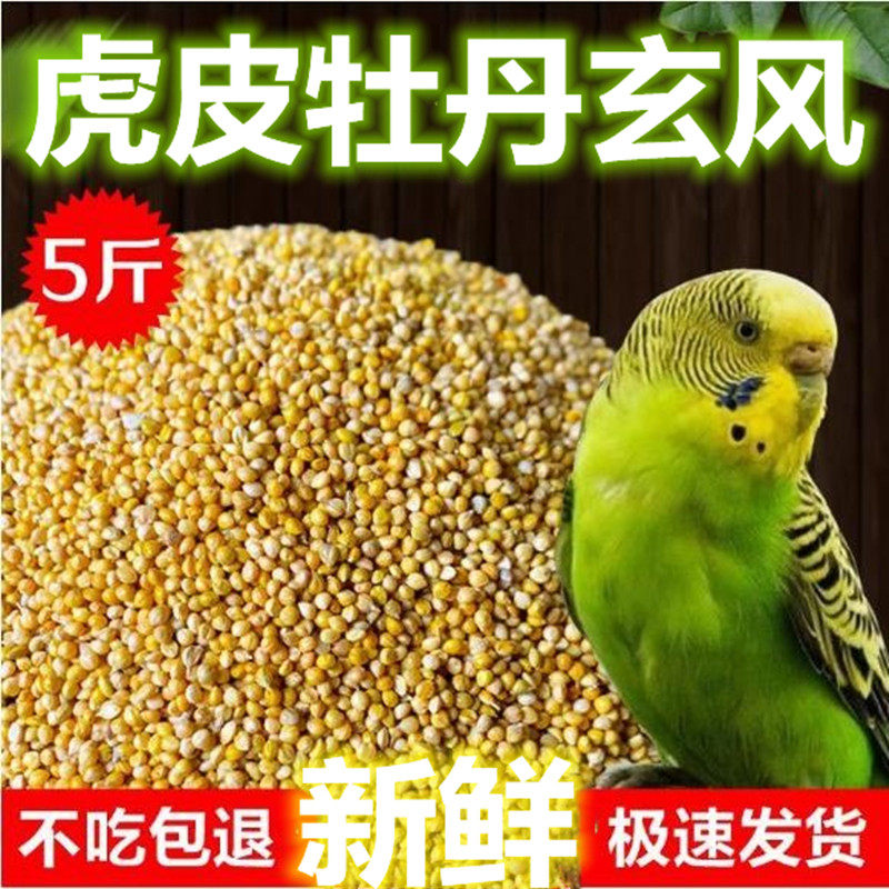 5斤新谷子带壳小米虎皮鸟食牡丹鹦鹉玄风鸟粮包邮,宠物/宠物食品及用品,鸟食,淘宝优惠券,粉丝福利购,淘宝优惠卷