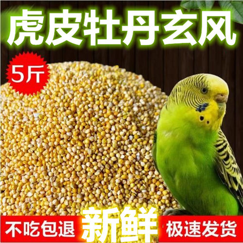 好鸣声鹦鹉鸟食新粮带壳小米