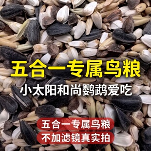好鸣声五合一小太阳和尚鹦鹉专属鸟粮大颗粒瓜子向鹦鹉专用料