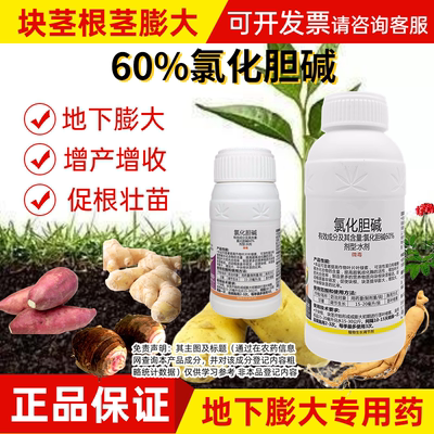 60%氯化胆碱红薯大蒜大姜洋葱花生土豆人参药材姜地下根茎膨大剂