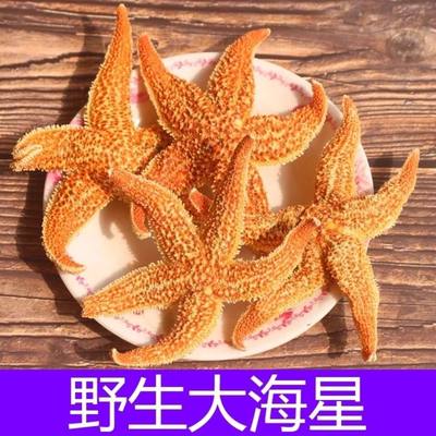 海星滋补煲汤泡酒料包邮