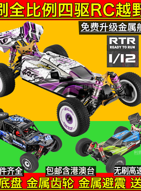 伟力124019无刷遥控车124018竞速电动RC比例四驱高速越野车144001