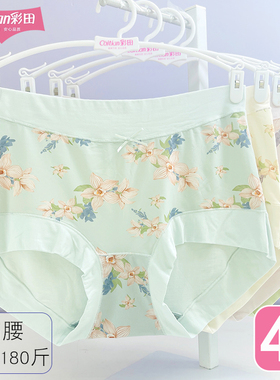 彩田内裤女加大平角裤32708包臀莫代尔棉石墨烯抗菌女式高腰32706