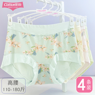 彩田内裤女加大平角裤32708包臀莫代尔棉石墨烯抗菌女式高腰32706