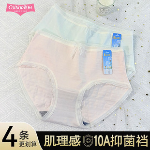 彩田春款女16128中腰莫代尔棉三角裤蕾丝边柔软透气抗菌少女内裤