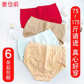 胖MM肥婆裤 雅岱莉613纯棉纯色包臀三角内裤 女士中高腰简约大码 头