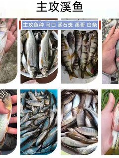 浪迹江湖溪流钓打窝料溪流面筋饵溪流打窝颗粒溪石斑鱼饵料钓鱼饵