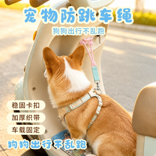 适用雅迪电动车新新国标美K/萌宠宠物儿童宝宝座椅外出兜风安全绳